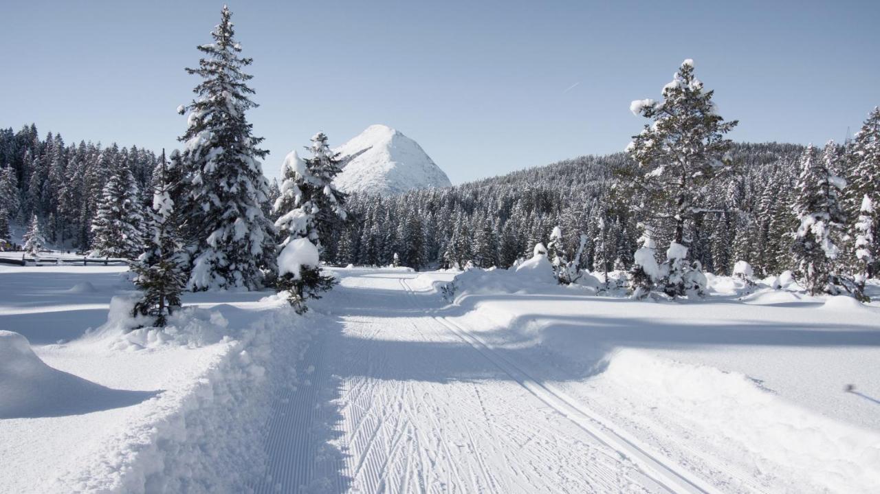 Haus Excelsior Top 29 Seefeld in Tirol Esterno foto